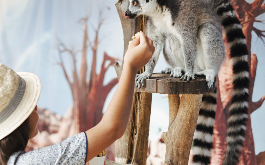 Návštěva zoo Olomouc